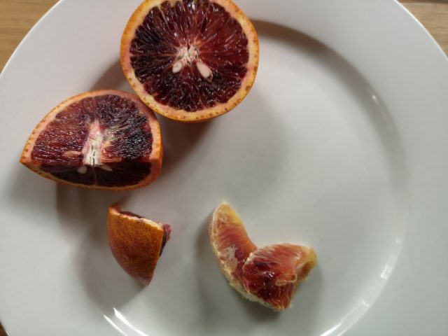 Orange - 'Arnold's Blood Orange' - Citrange - The Diggers Club