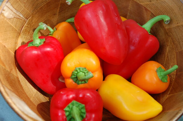 Get the last of the local peppers - Andrew Coppolino - World of Flavour